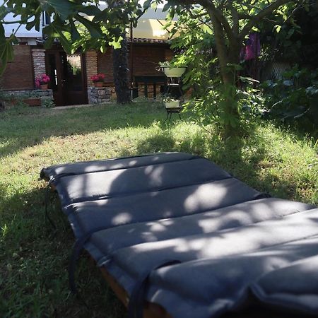 Apartmani Jelena Poreč Exteriér fotografie