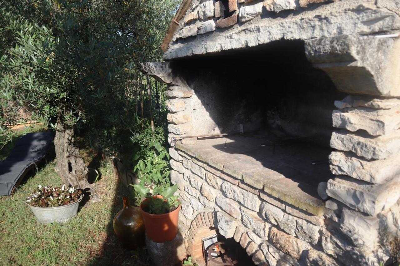Apartmani Jelena Poreč Exteriér fotografie